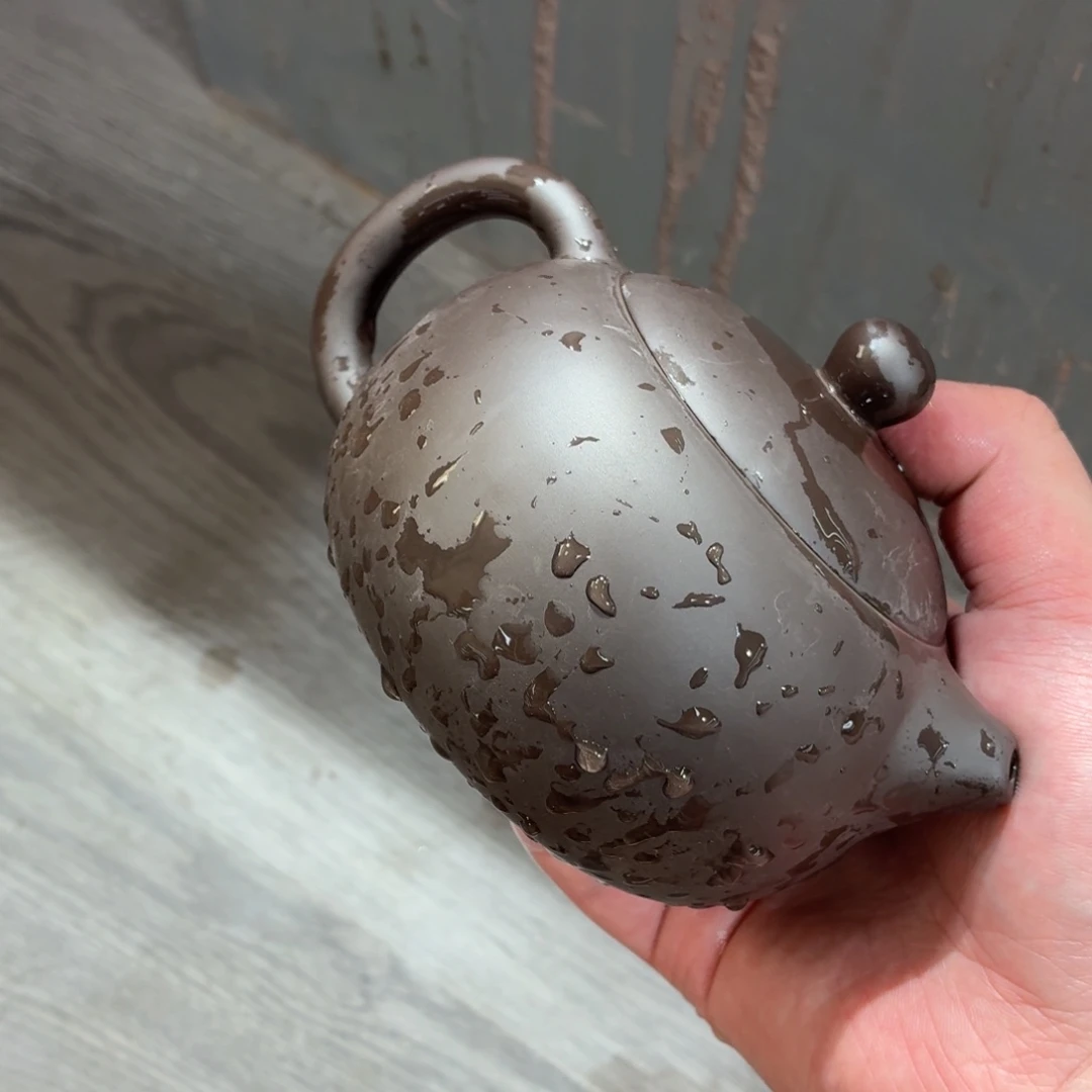 紫砂茶壶壶哈哈哈哈哈哈