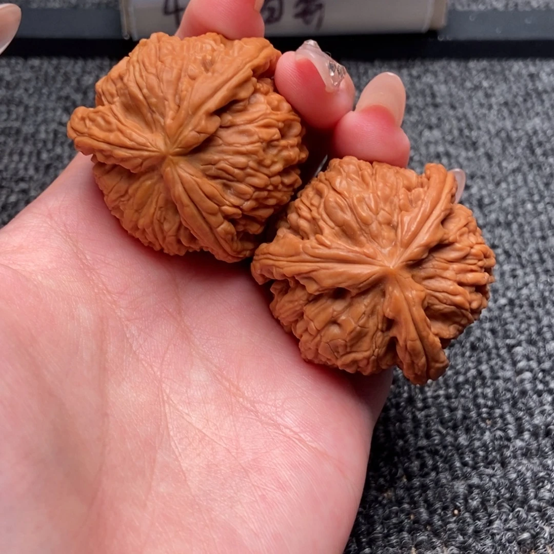 讲***要木质类白狮子正奔
