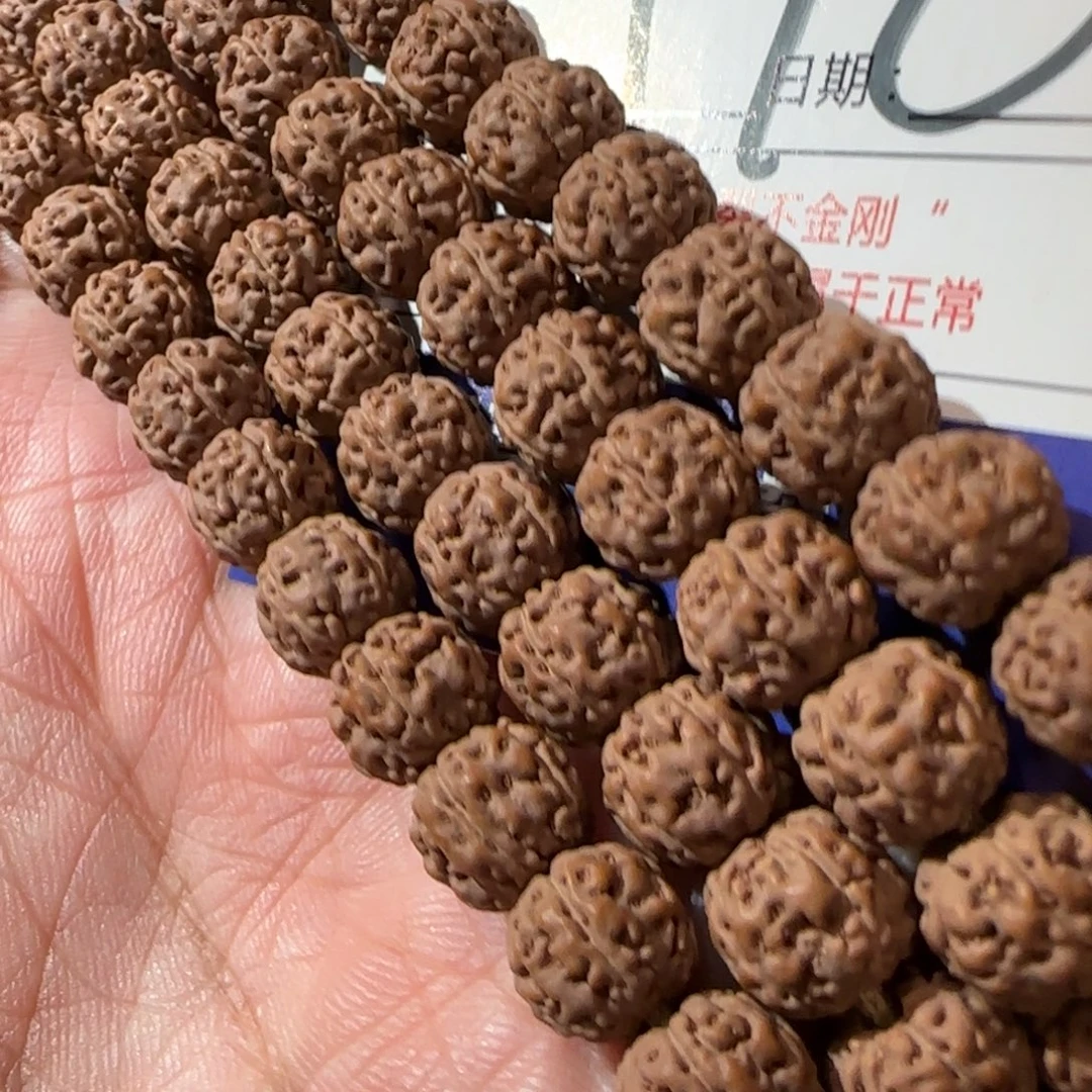 金刚菩提吊坠原籽一代盘龙一等++