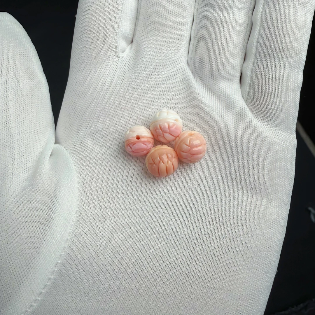 女（皇）贝壳类小配件（多样性发一）