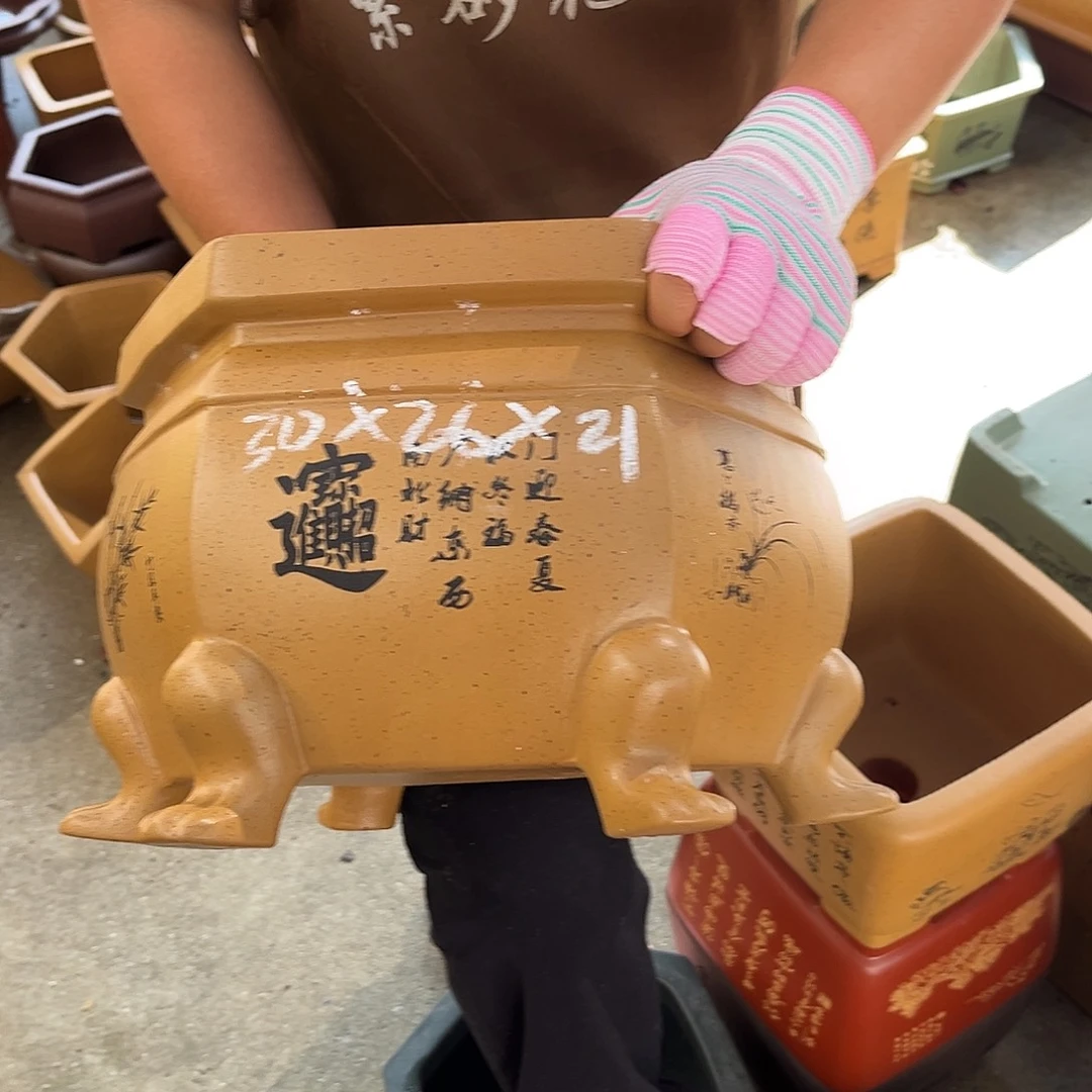 紫砂花盆盆景艺术