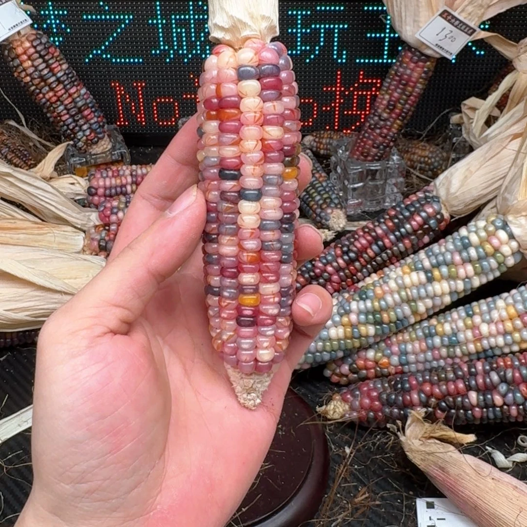 柏香籽/百香籽吊坠?****鱼