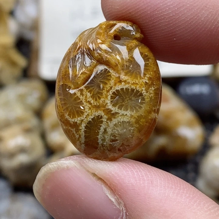 颈饰未镶嵌硅化珊瑚（珊瑚玉）有瑕 小