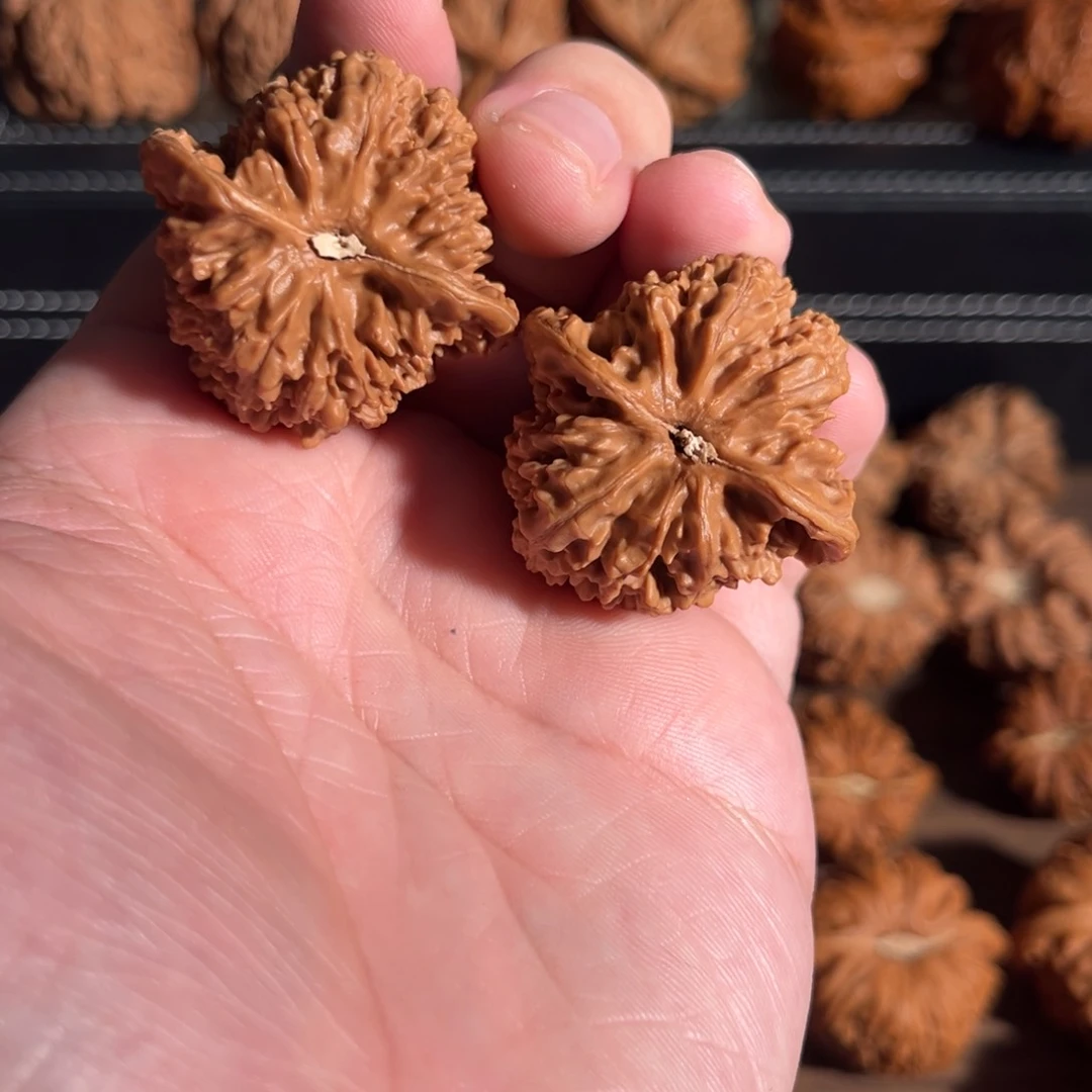 手串/手链核桃凯37全品满天星