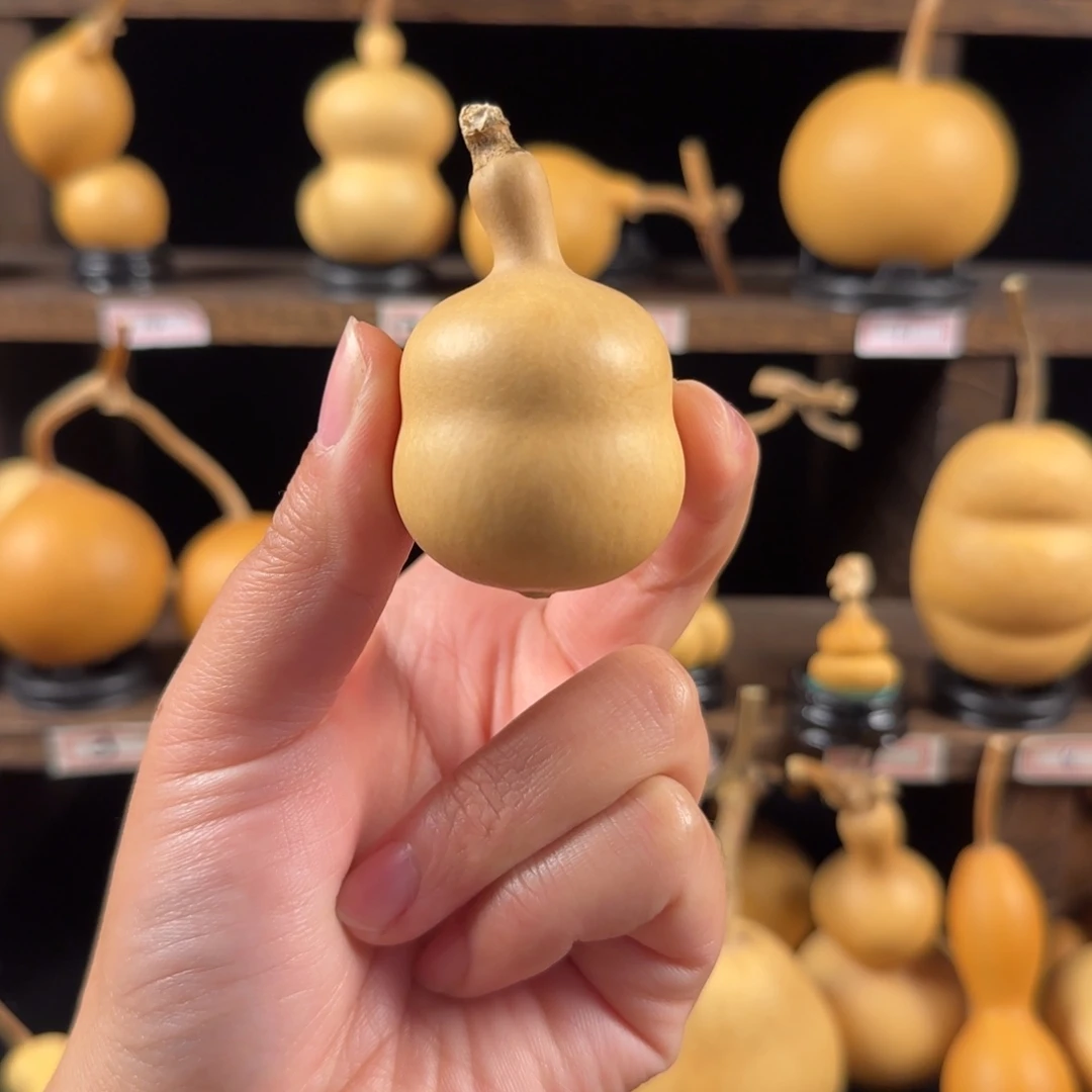 许***前葫芦葫芦葫芦葫芦葫芦葫芦