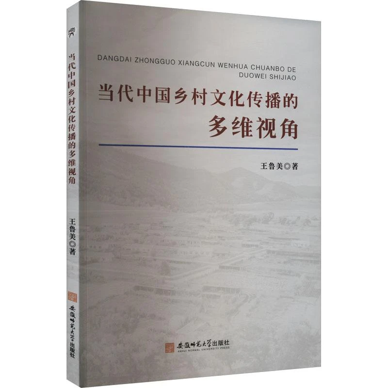 正版 当代中国乡村文化传播的多维视角 王鲁美 9787567659865