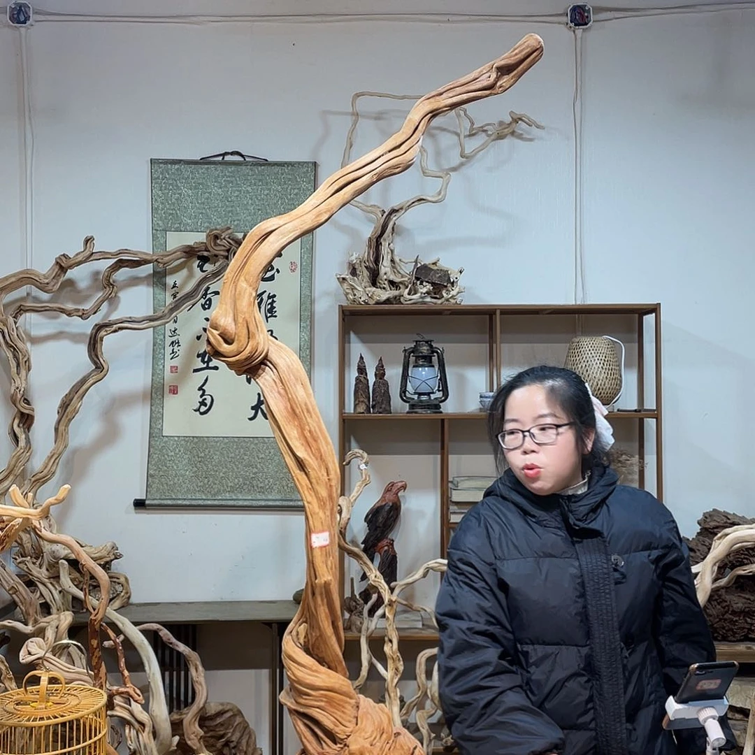 柏木杜鹃根根艺摆件