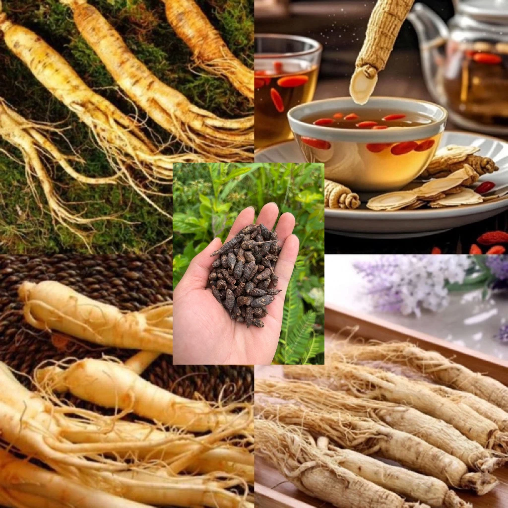 【彭彭现収山货】平-肝-渗-250g-1000g食用农产品