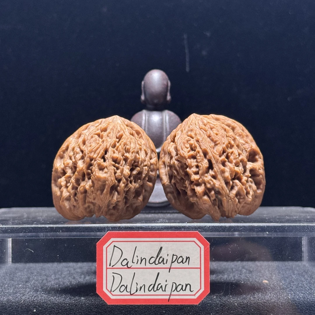 【奇奇怪怪】对歪异型凹底南疆383839