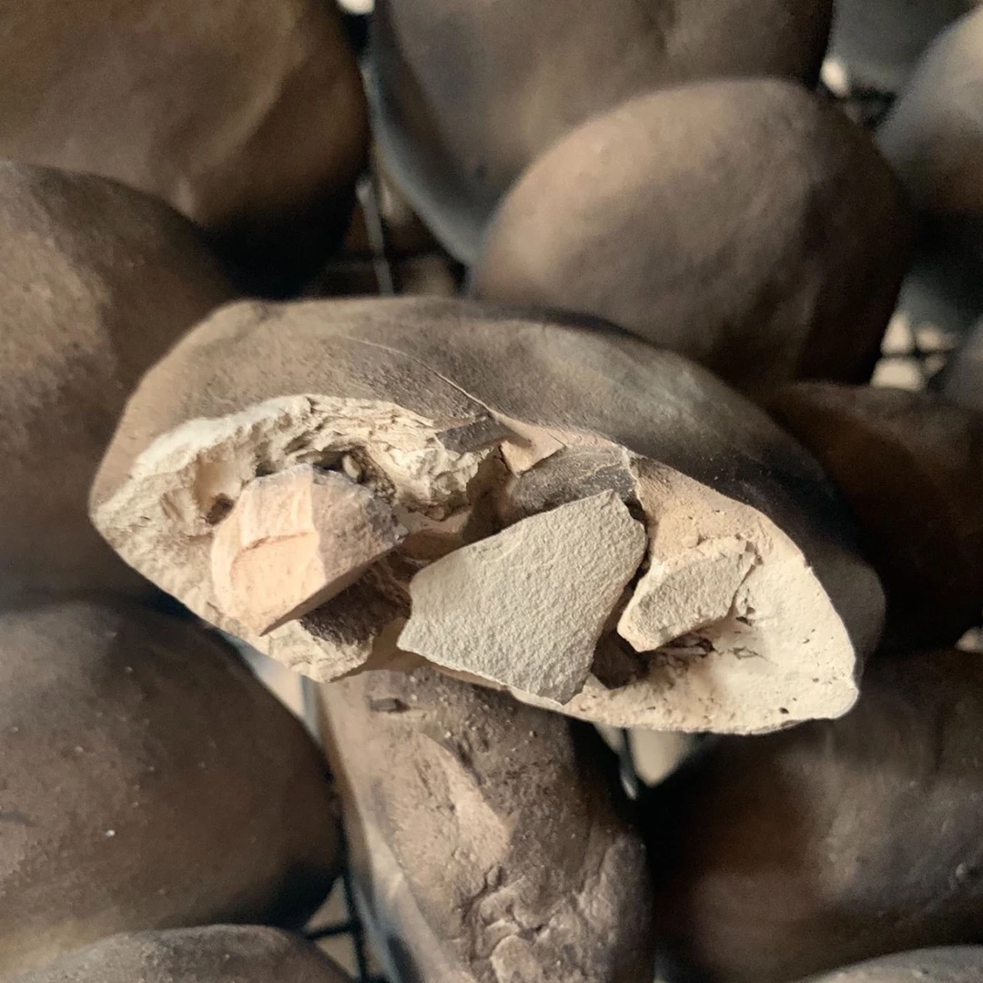 思思家烟熏视频脆饼土块营养土家用泥土营养土块