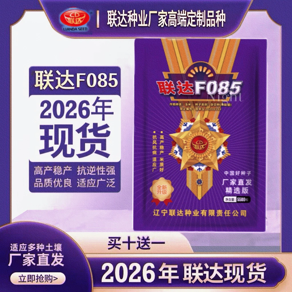 国审联达F085玉米种子高产抗旱耐涝抗病抗虫抗倒不挑地块（5500粒）