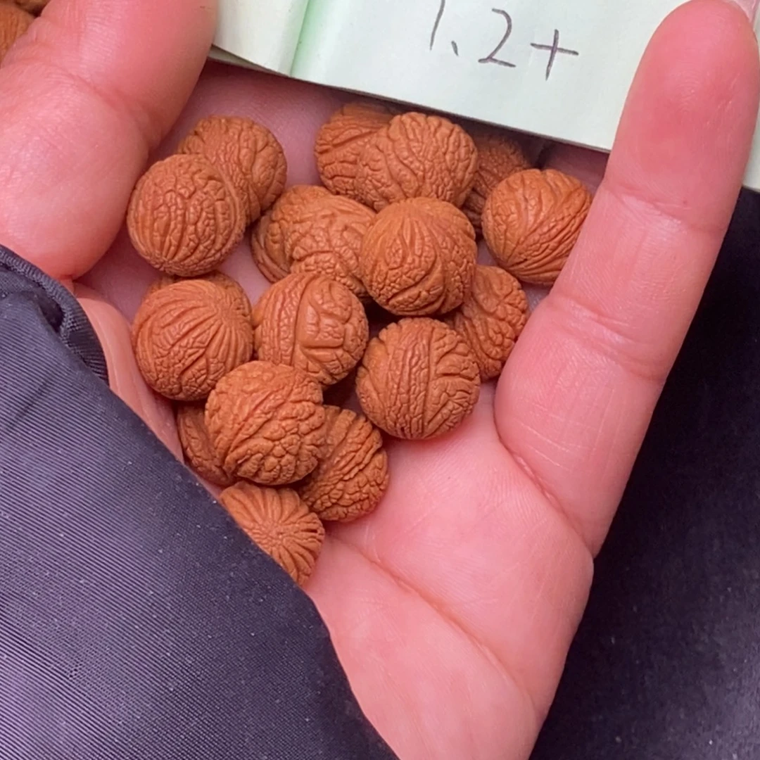 秦岭龙纹桃核20颗