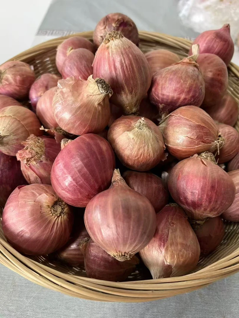 东北新鲜毛葱2斤包邮