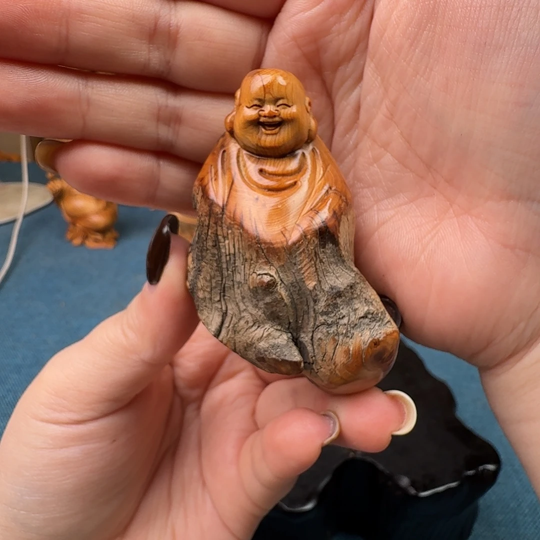 柏木（崖柏）关注一下