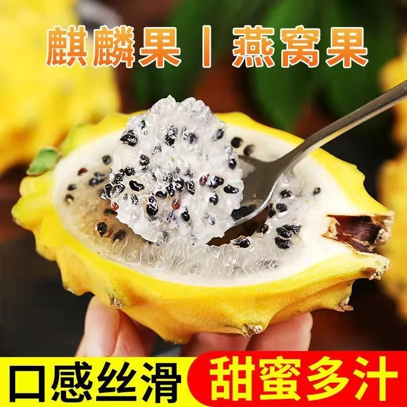 【燕窝果】产地直采 全程悉心呵护 每一口都是满满的清甜