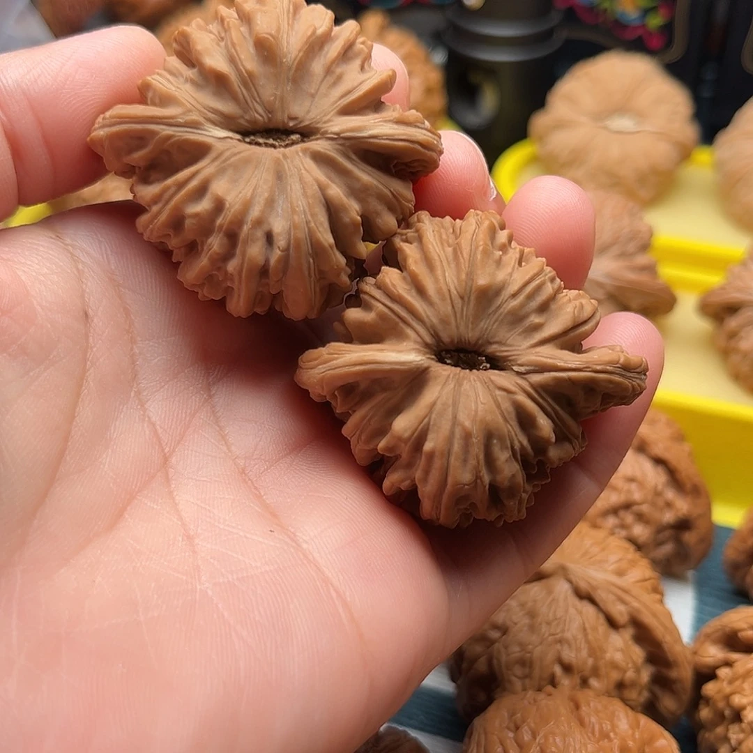 大叶紫檀（黑酸枝木类）