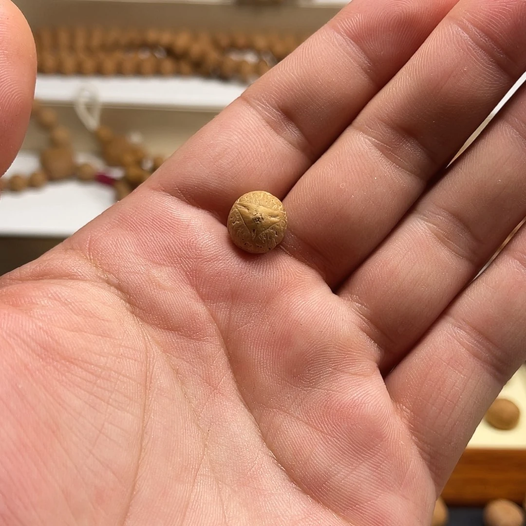 龙眼菩提吊坠M****c11.5mm龙眼单颗