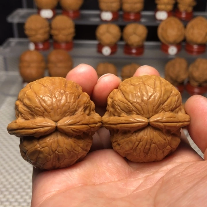 文玩核桃把件24金龟玉甲