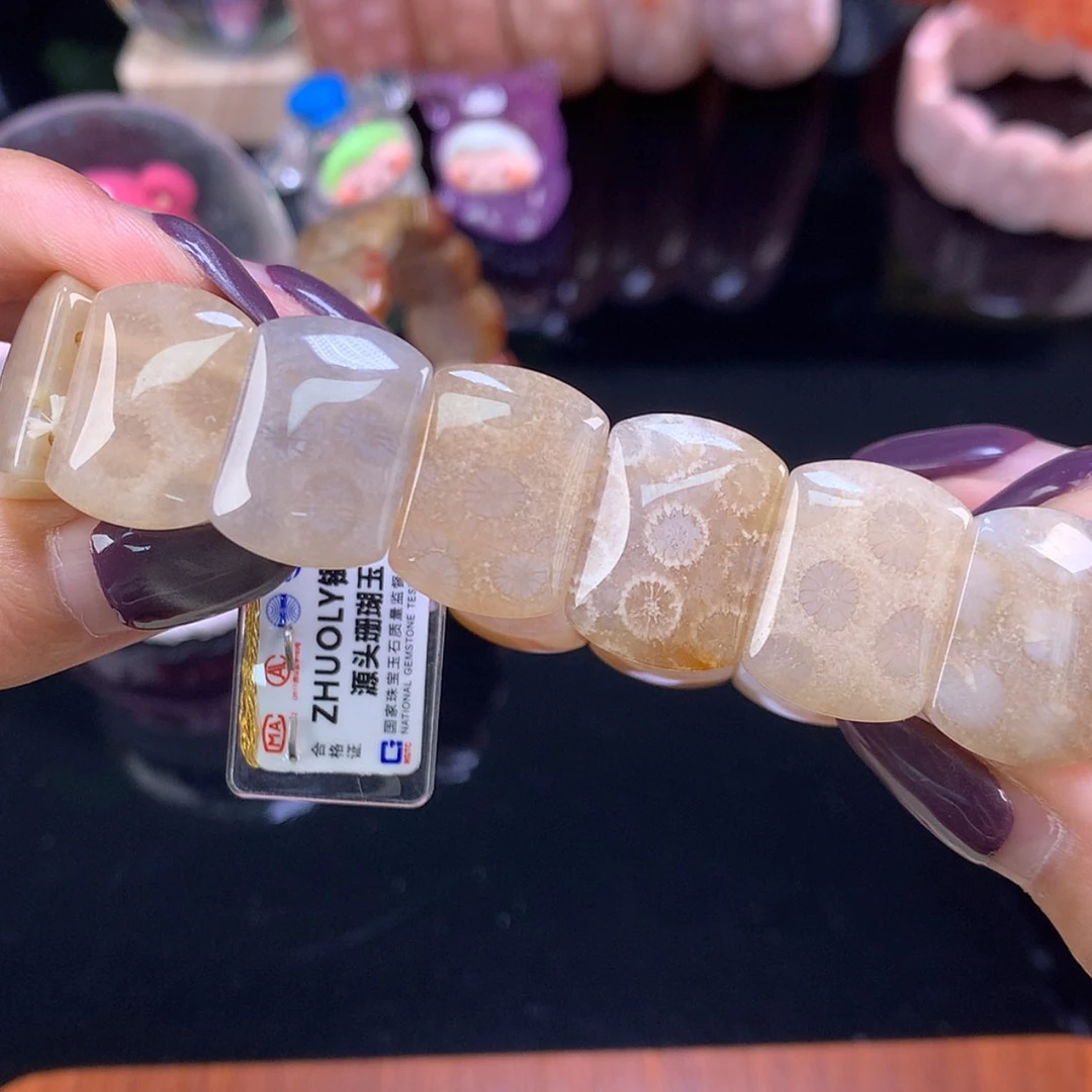 【闪购商品】颈饰未镶嵌硅化珊瑚（珊瑚玉）福利手牌超漏（20号）