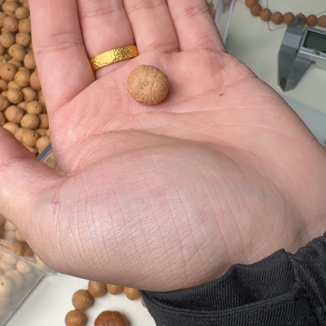 柠****凤眼菩提吊坠1111