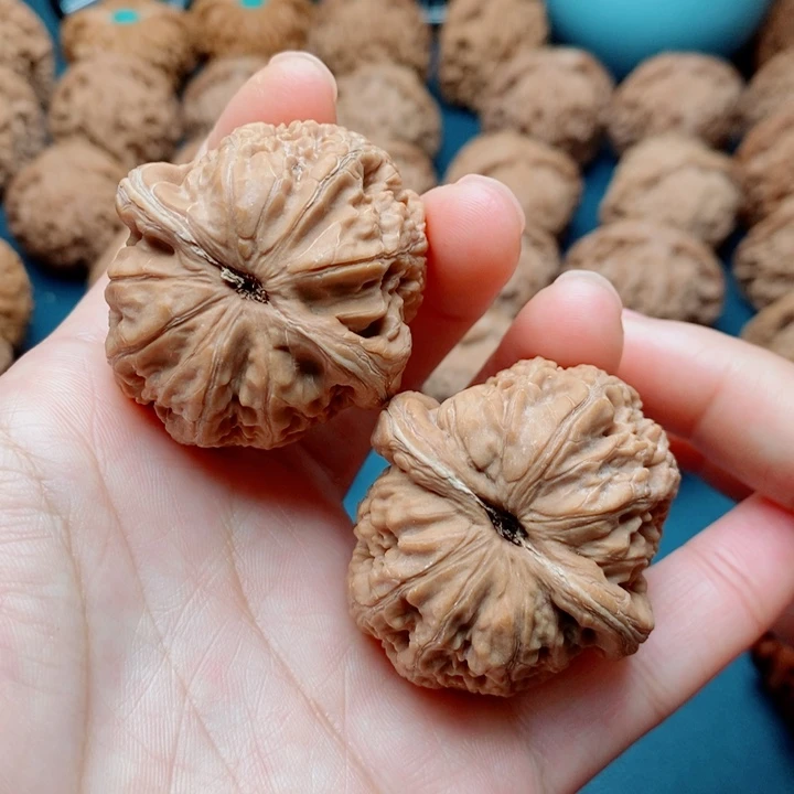 画***家文玩核桃把件元宝42全品