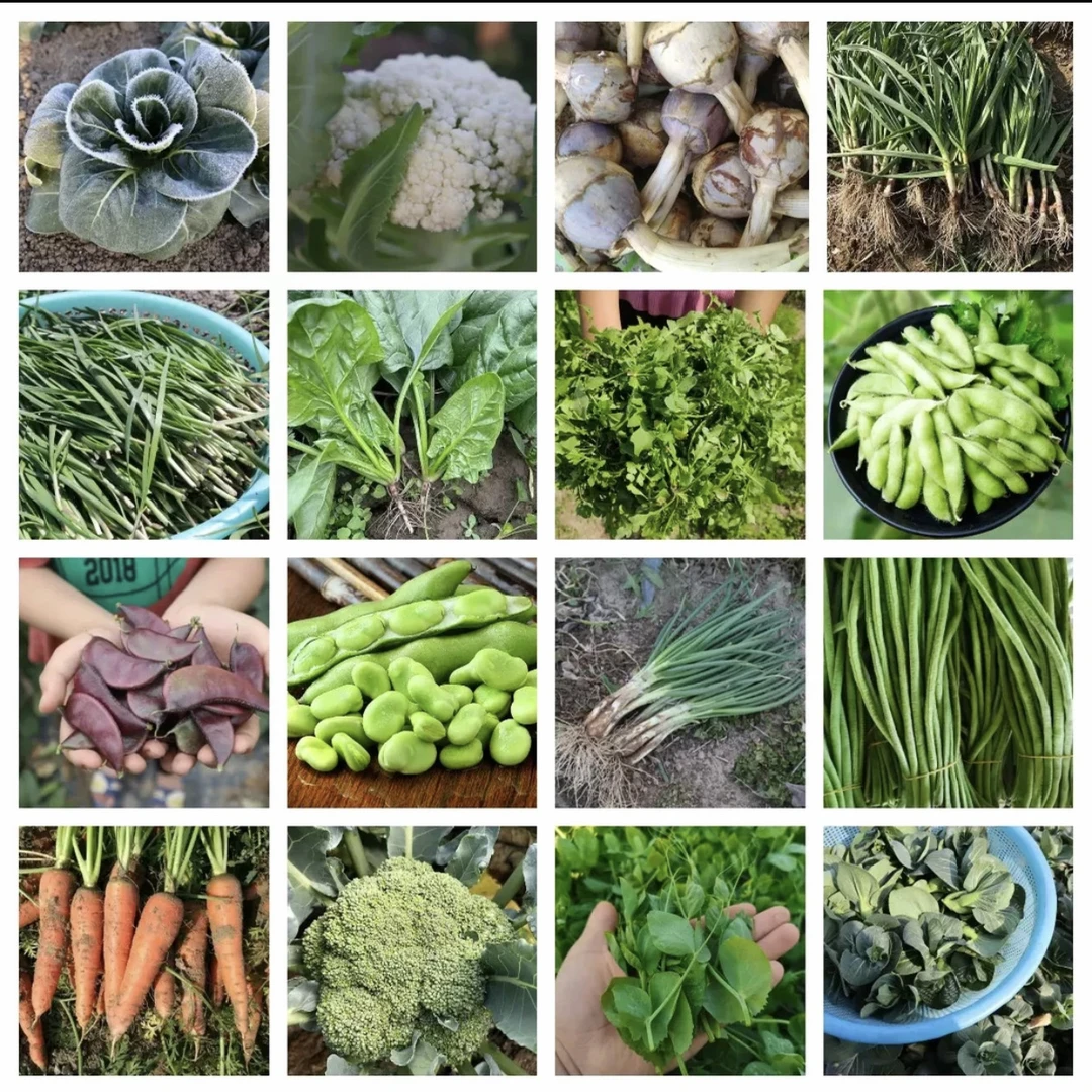 磨滩村助农代卖农特产