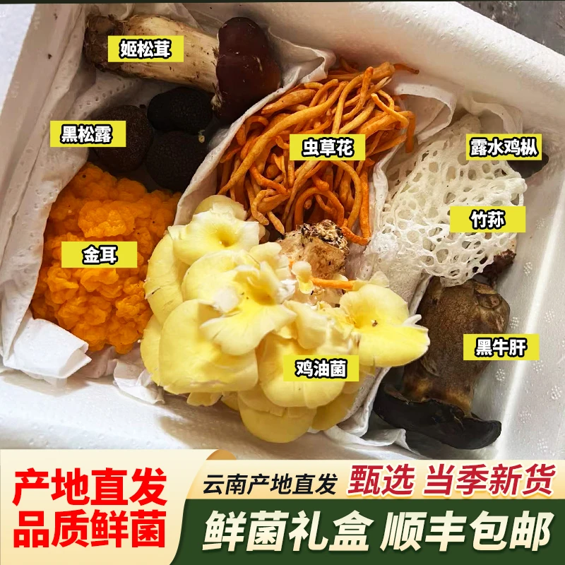 云南山货鲜菌礼盒