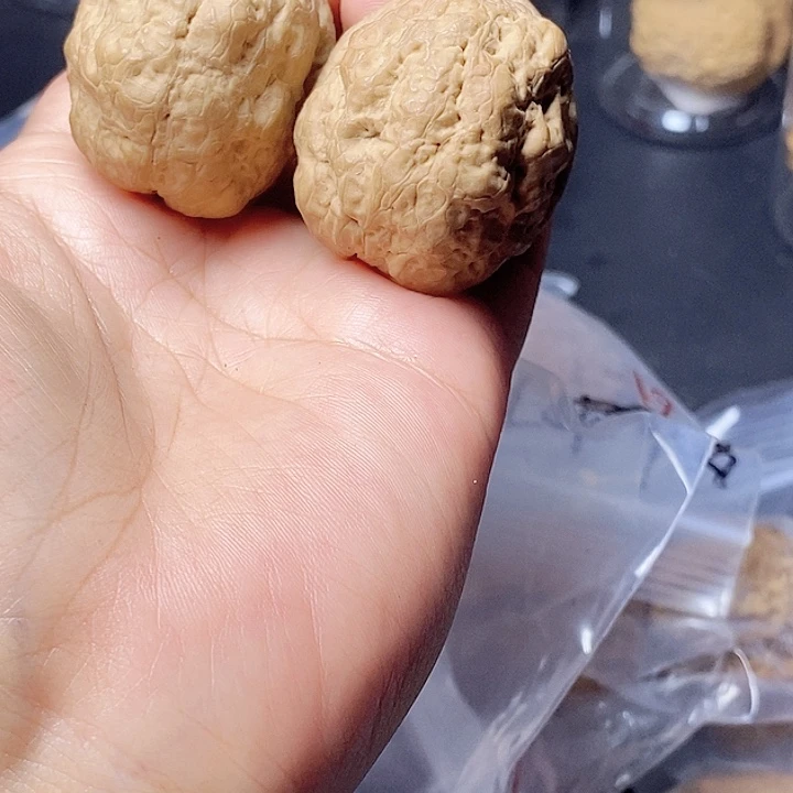 把件文玩核桃58-39mm微磕