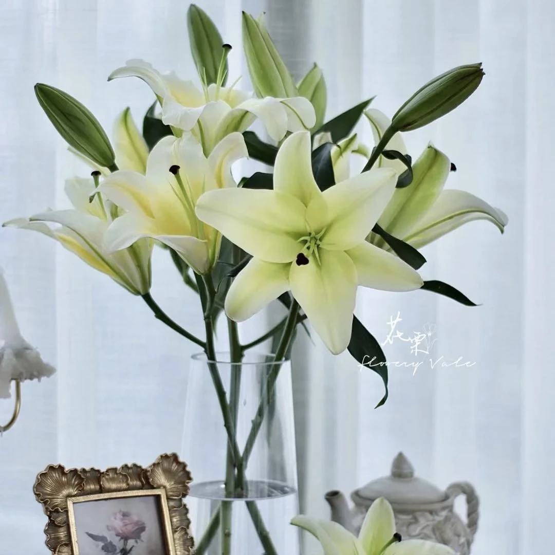 3支双头香水百合黄天霸百合家庭鲜花同城配送到家新年鲜花年宵花