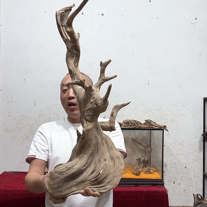 柏木温**木文玩的好吗你是谁