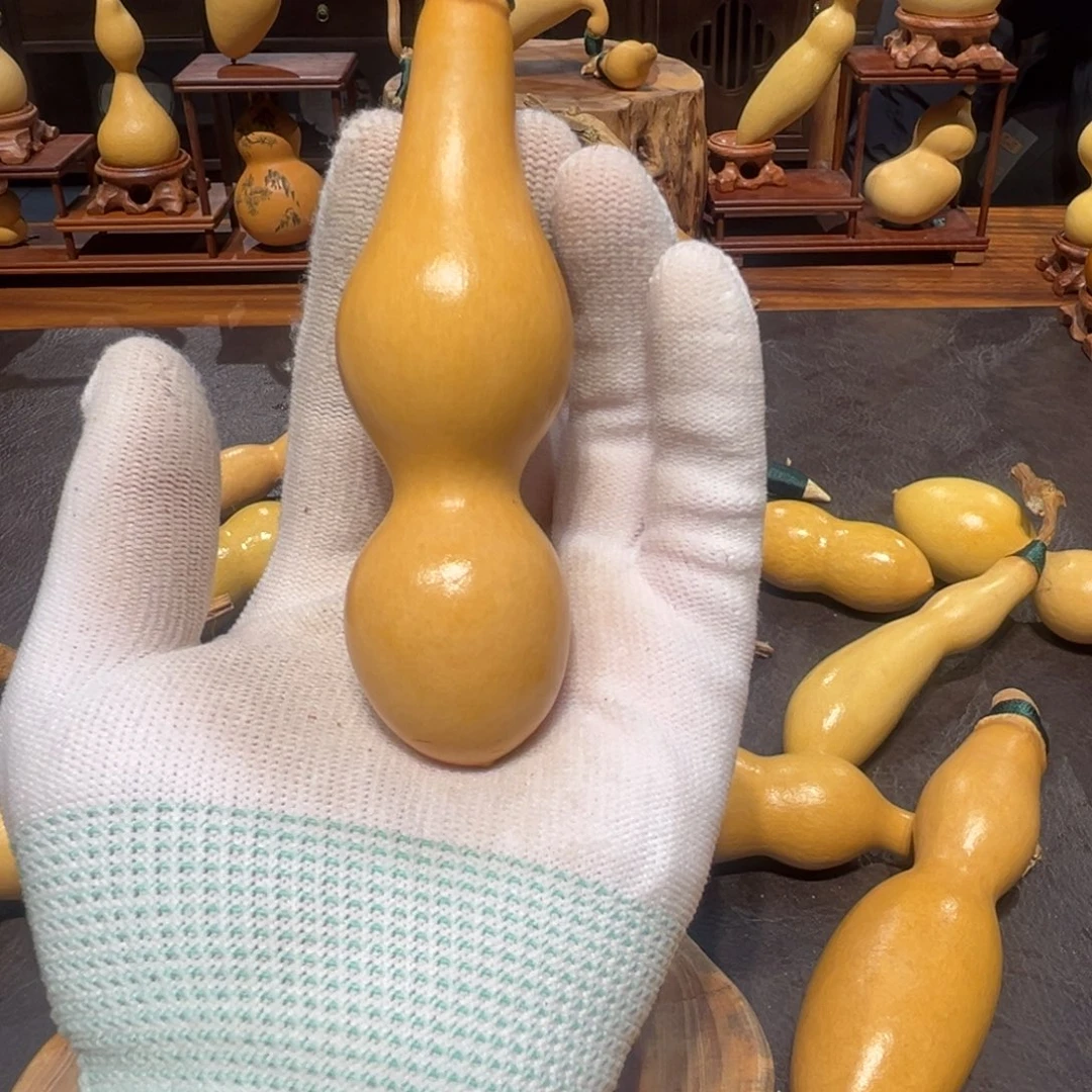 无****猫重返校园的时候就