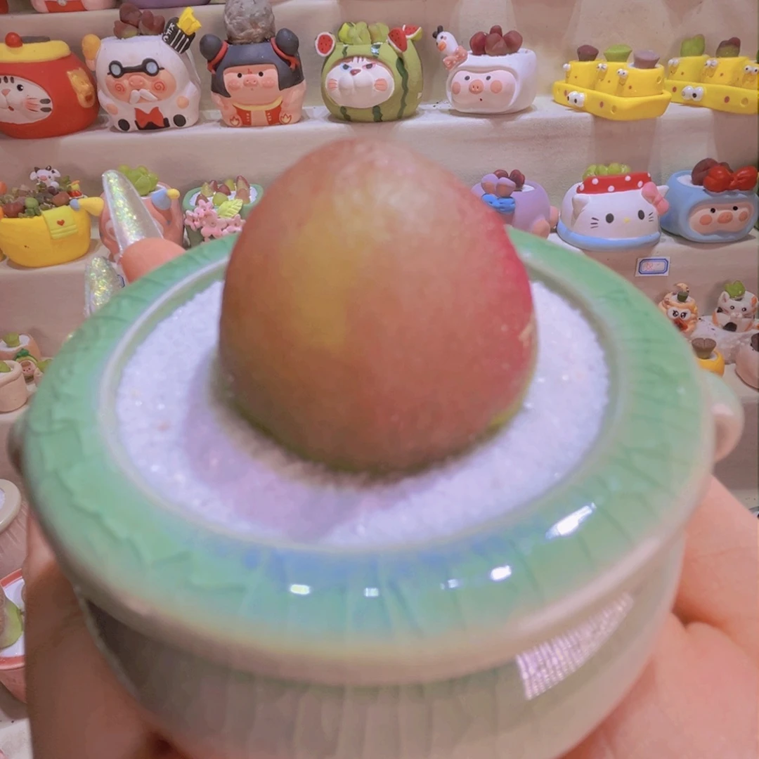 005 灯泡3cm手工盆特价带盆多肉