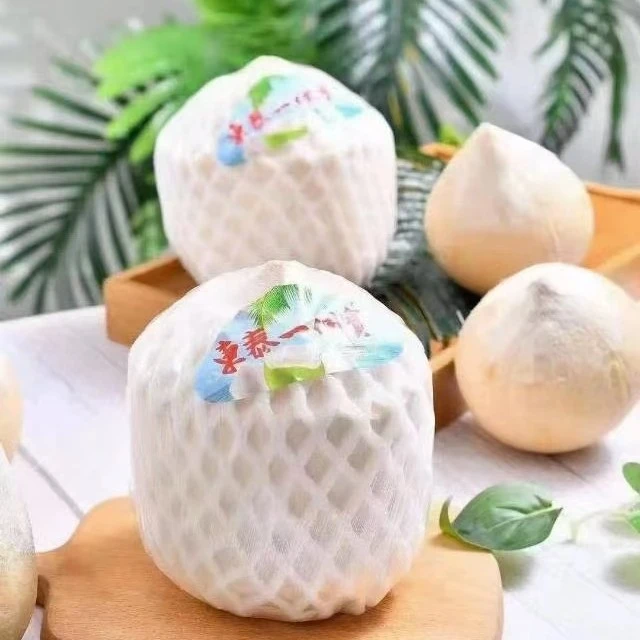 东泰一个宝泰国椰青大果900克
