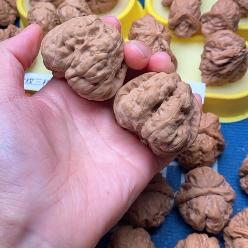 【闪购商品】手串/手链核桃边47肌肉蛙