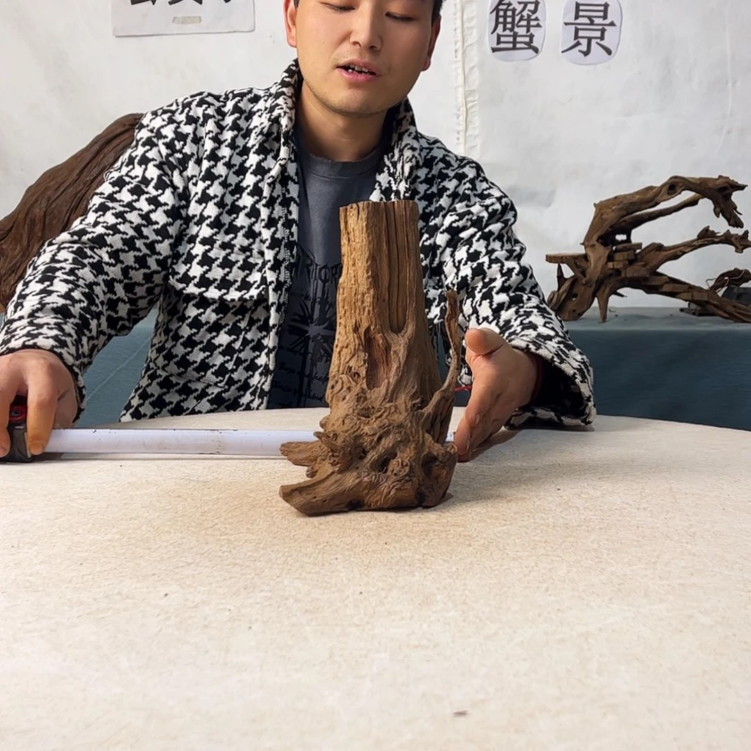 沉木造景爬宠造景