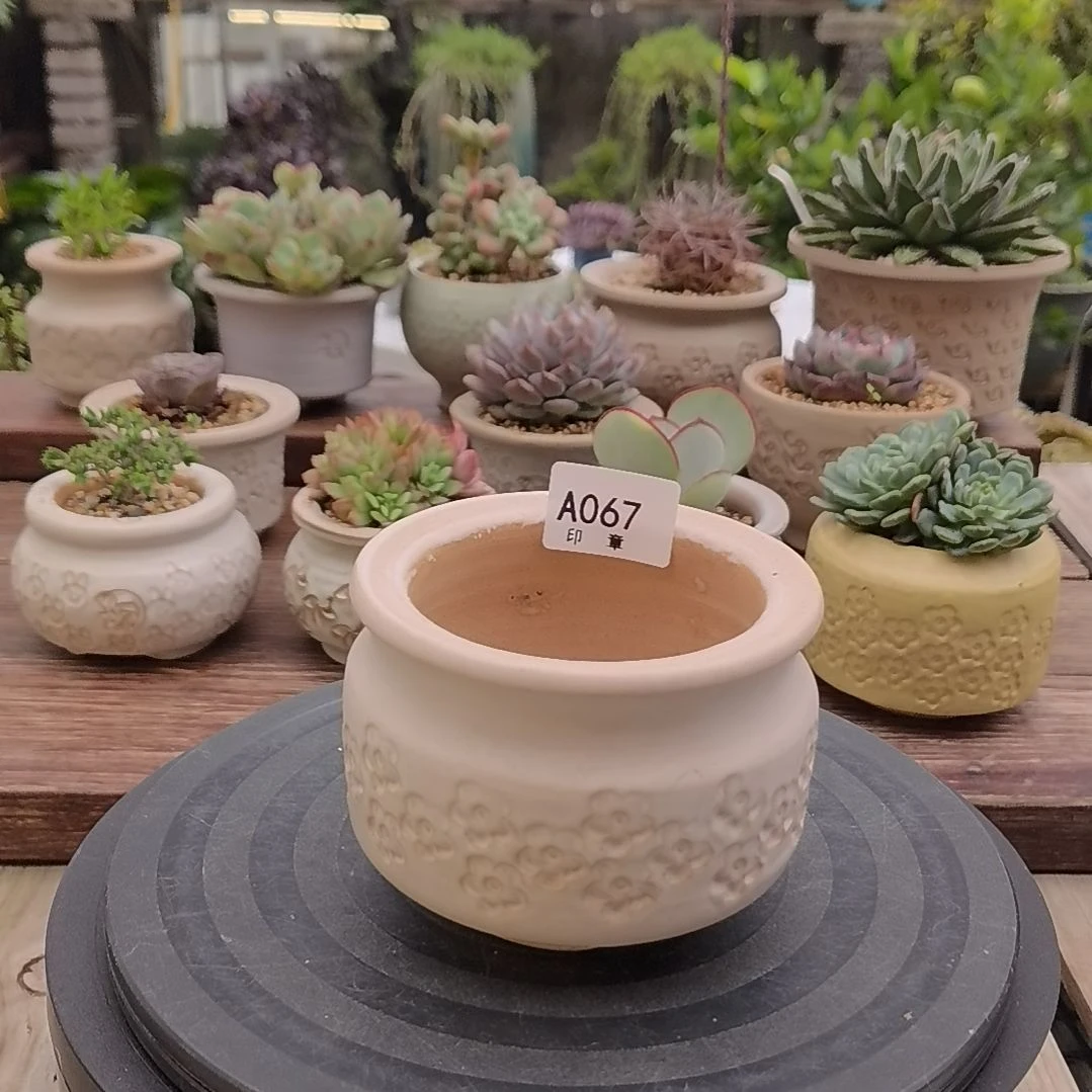 印章多肉花盆A067