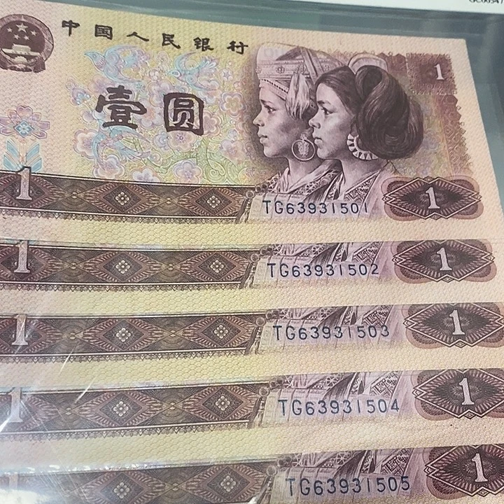 红金龙标十63931501，，，，，