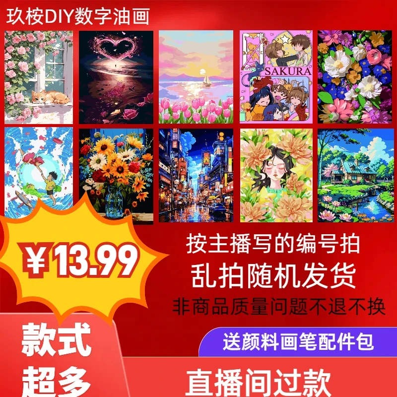 【C1-C200】40*50cm直播间过款链接diy数字油画超多款式