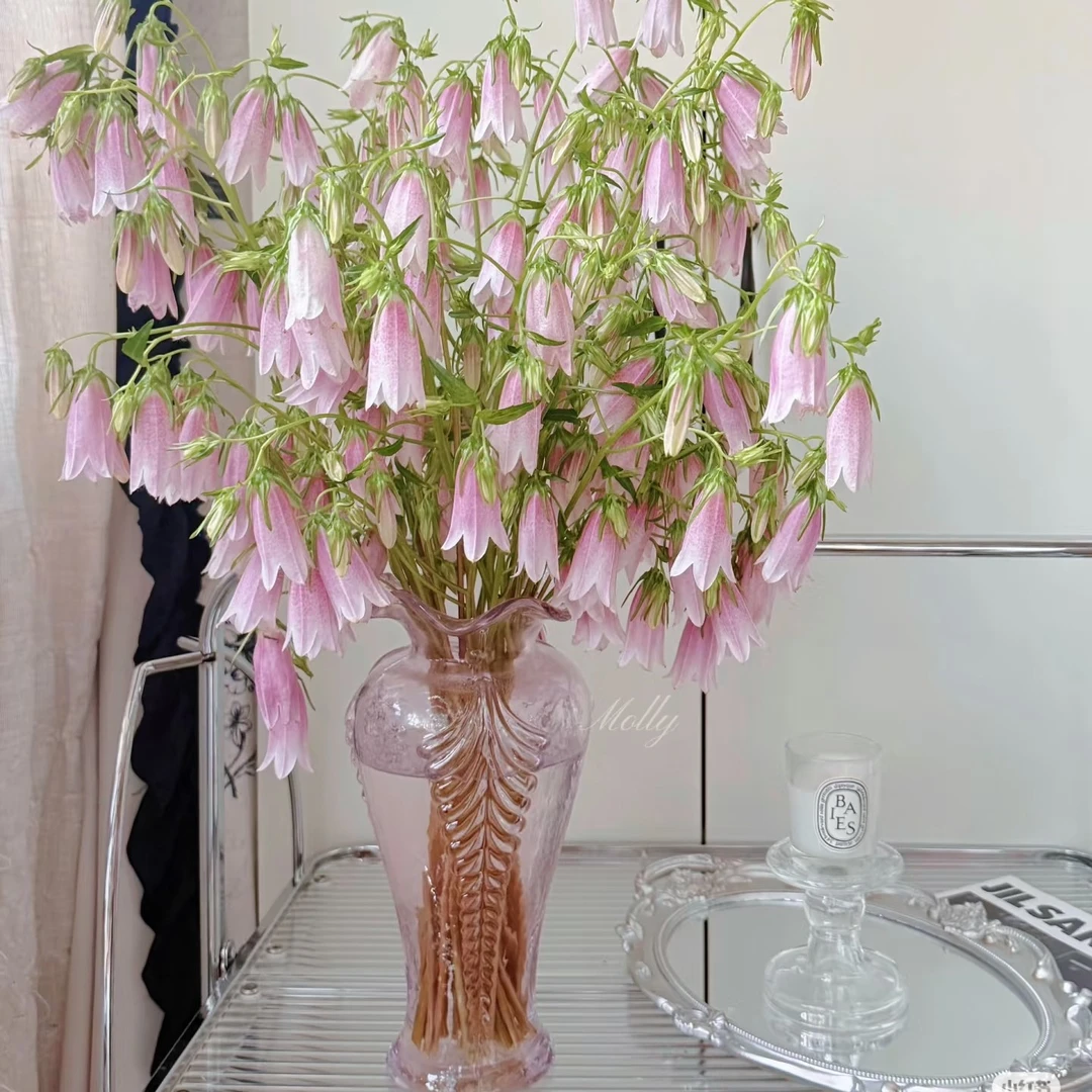 【云朵 系列】紫斑风铃 鲜切花 小众花材 绘本花 云南鲜花 冷链包邮