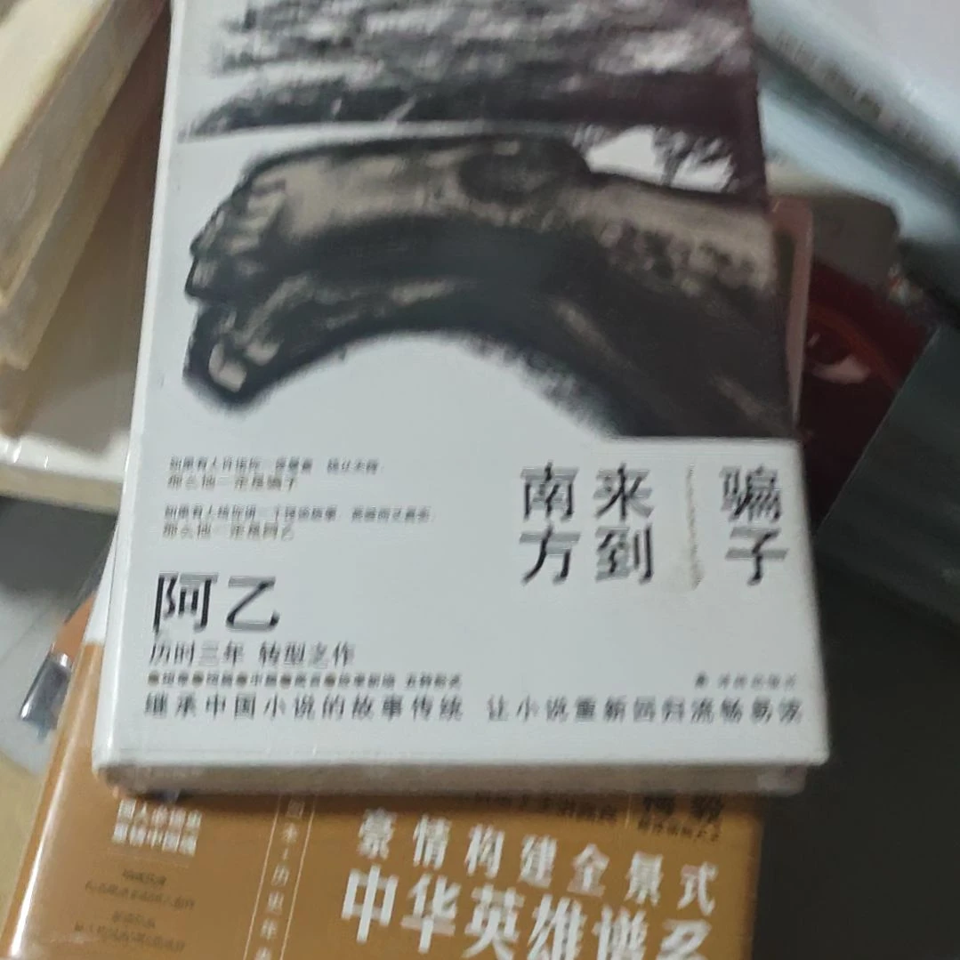 骗子来到南方阿乙精装库存书