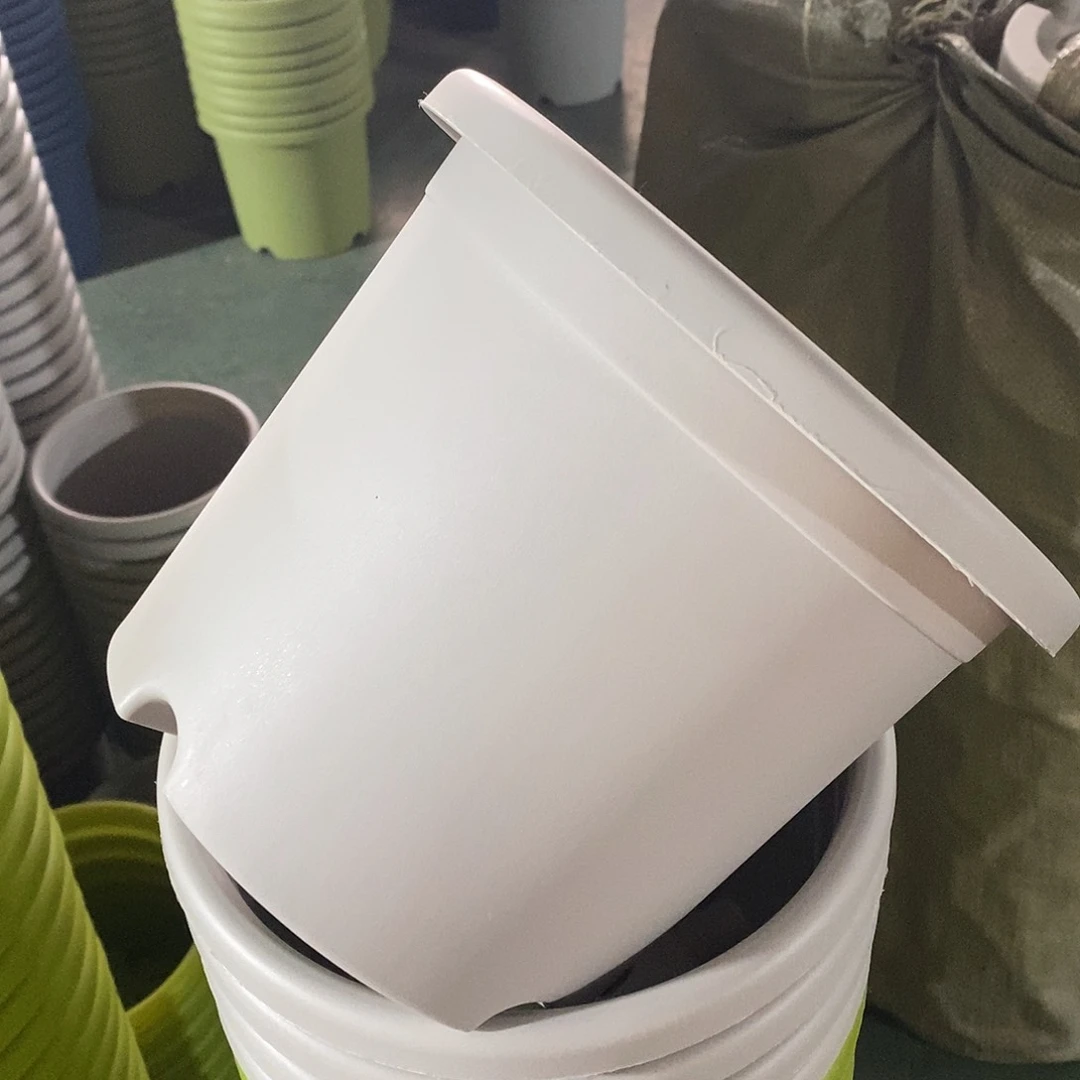 树脂特价3号灰白色10个无拖