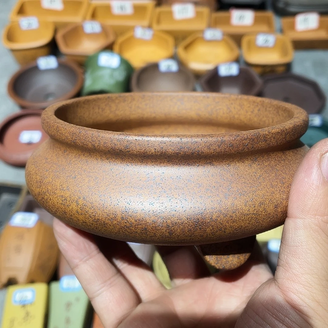 紫砂小盆10.5*4.5cmmmm