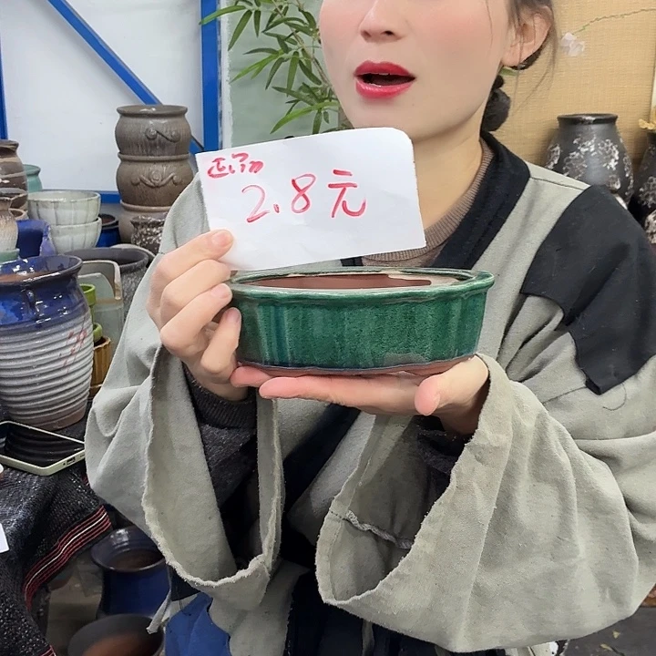 17×10×6-粗陶花盆有孔-买买买