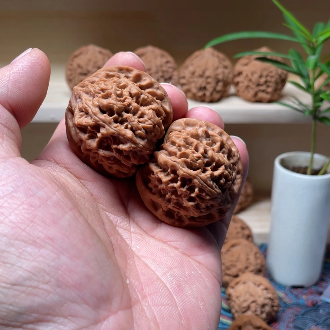 南*起全品野牛狮子头42尺5