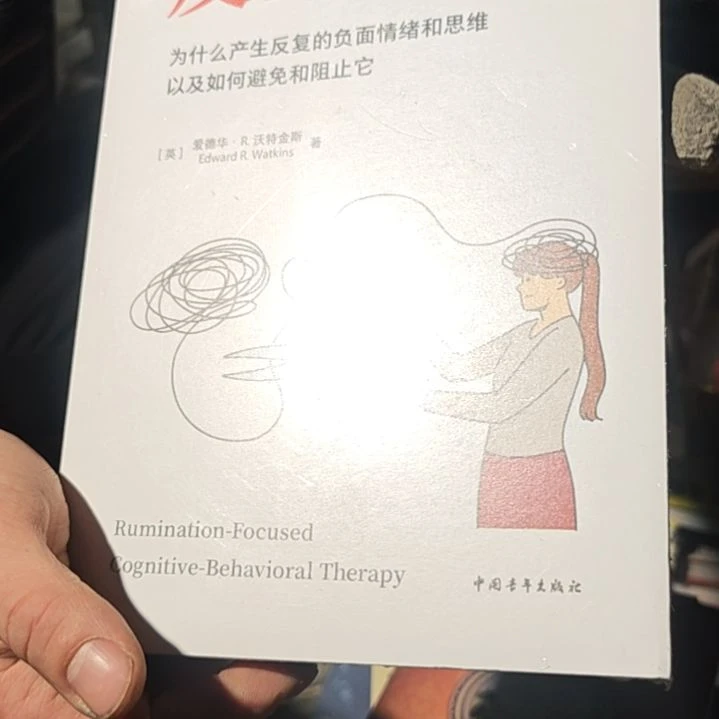 反刍效应平装库存书