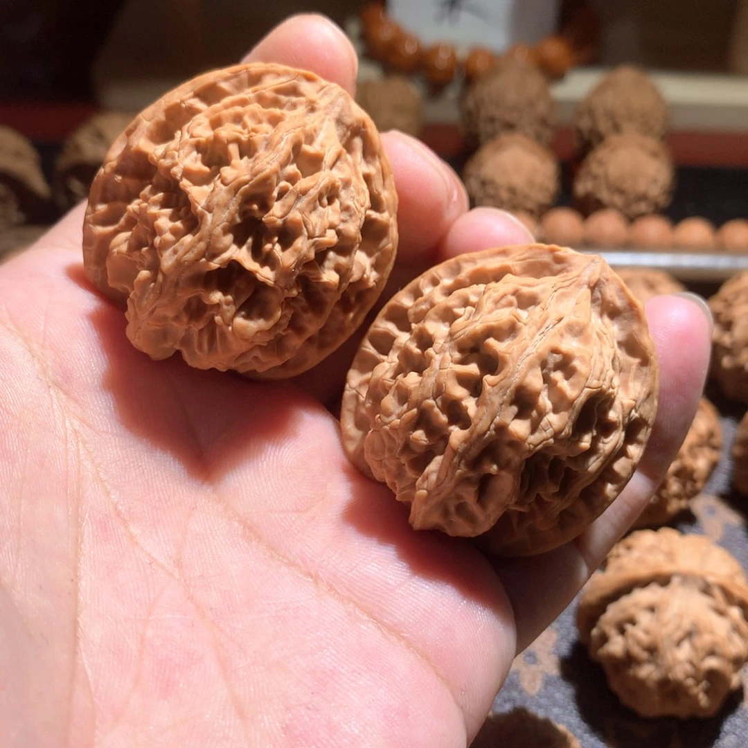 金**王全品无修 老树苹果园