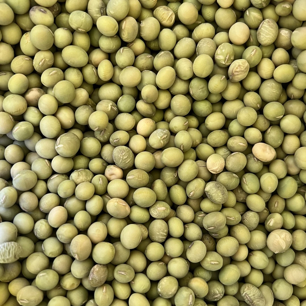 湖南湘西农家青皮小黄豆