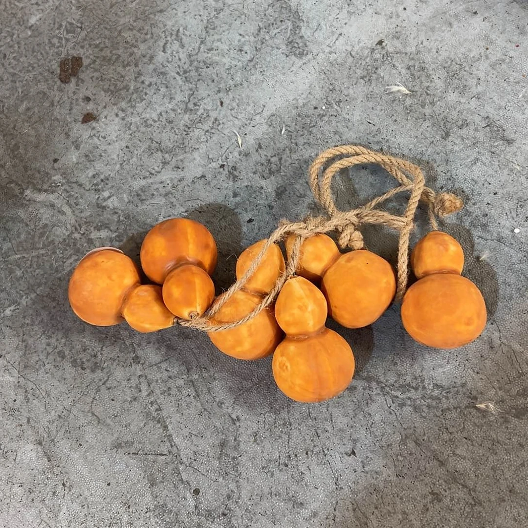 抖音直播福利一串