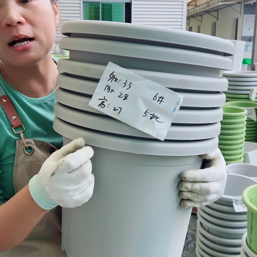 四季盆6#灰白色7个无托