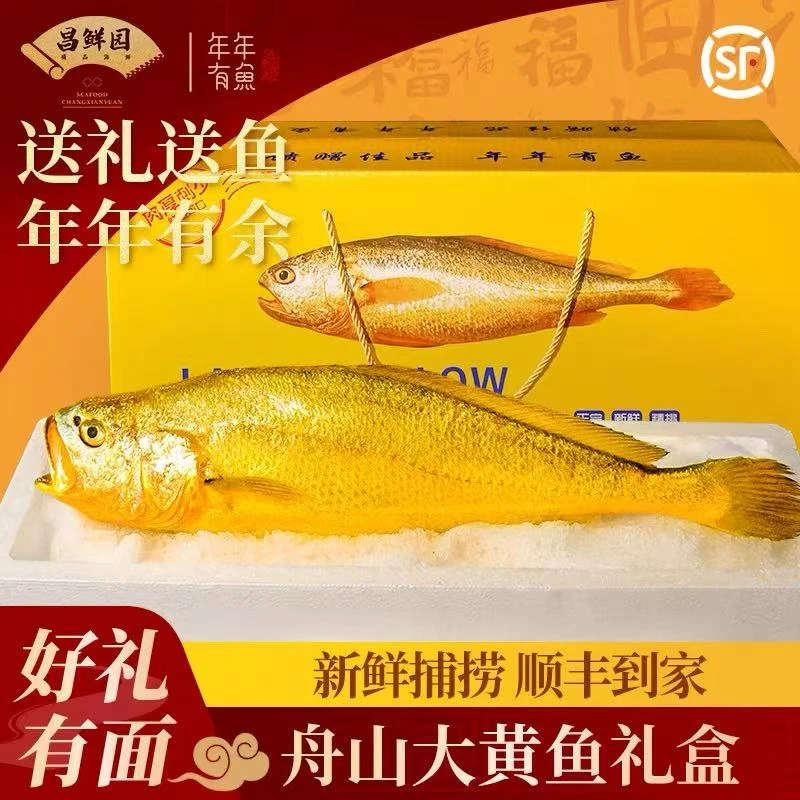 正宗舟山大黄鱼大礼包高档礼盒装端午送礼新鲜深海黄花鱼海鲜水产